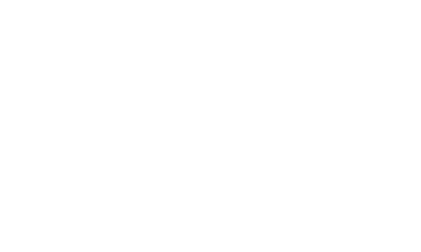 Night Parade