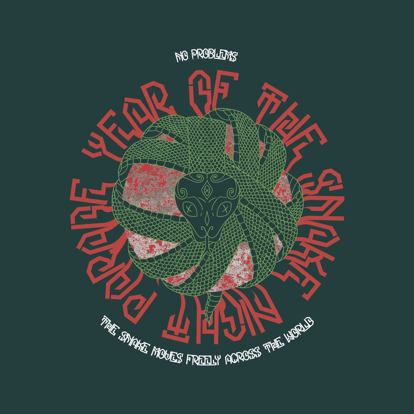 Snake Coil Oversized Hoodie